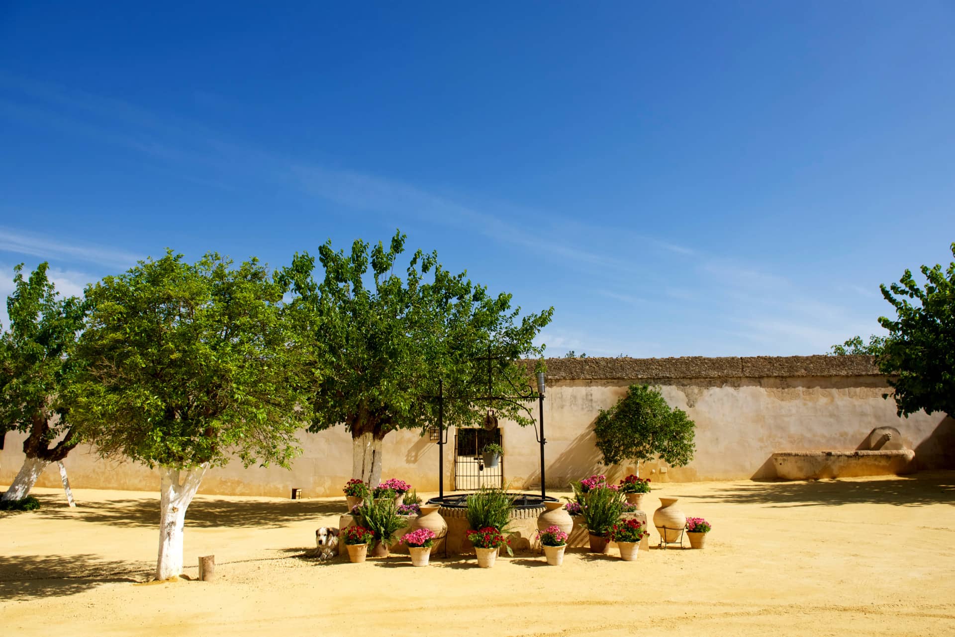 Cómo Llegar Hacienda La Soledad 7964